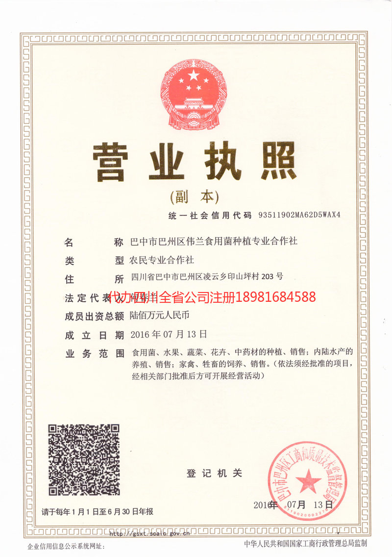 盖州盖州伟兰食用菌种植专业合作社